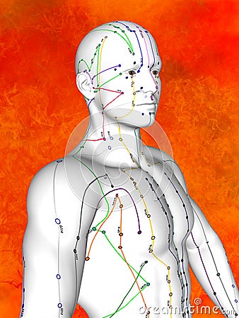 Acupuncture model Stock Photo