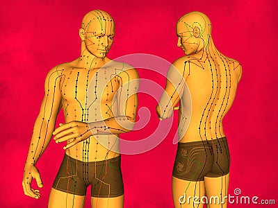 Acupuncture model Stock Photo