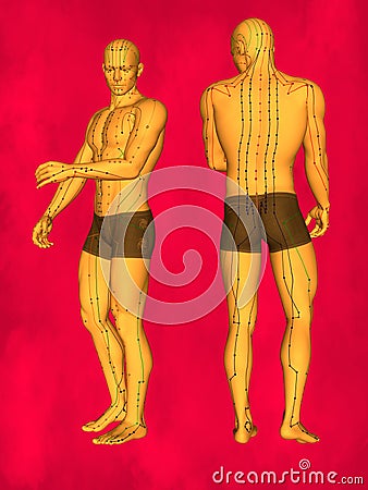 Acupuncture model Stock Photo