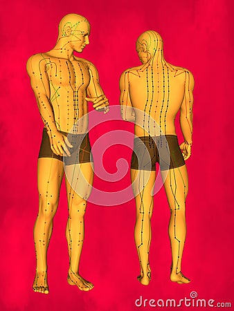 Acupuncture model Stock Photo