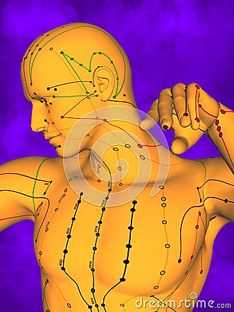 Acupuncture model M-POSE Ma-s-12-16, 3D Model Stock Photo