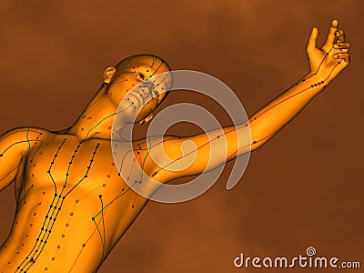 Acupuncture model M-POSE Vfm-7-10, 3D Model Stock Photo