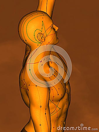 Acupuncture model M-POSE Vfm-7-8, 3D Model Stock Photo