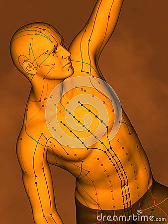 Acupuncture model M-POSE Vfm-7-7, 3D Model Stock Photo