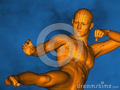 Acupuncture model M-POSE Vfm-1-8, 3D Model Stock Photo