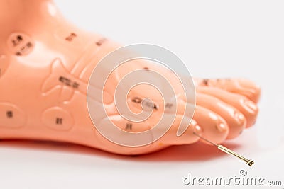 Acupuncture needle in acupuncture foot model Stock Photo