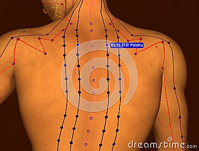 Acupuncture Point BL13 Feishu, 3D Illustration, Brown Background Stock Photo