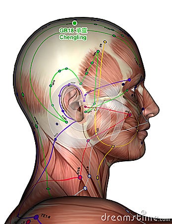 Acupuncture Point GB18 Chengling, 3D Illustration Stock Photo