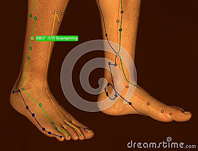 Acupuncture Point GB37 Guangming, 3D Illustration, Brown Background Stock Photo