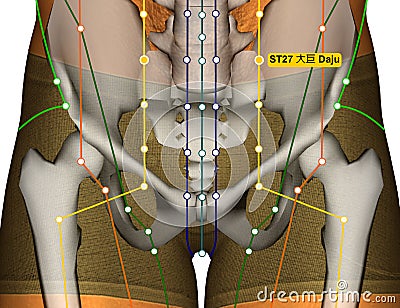 Acupuncture Point ST27 Daju, Stomach Meridian Stock Photo