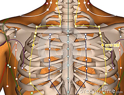 Acupuncture Point ST15 Wuyi, 3D Illustration Stock Photo