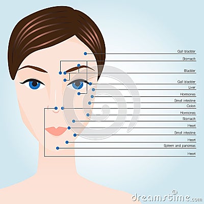 Acupuncture points on face Cartoon Illustration