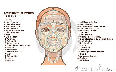 Acupuncture points on the face. Young woman face. Vector illustration Vector Illustration