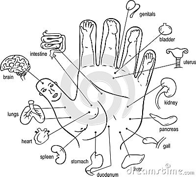 Acupuncture points on palm Vector Illustration