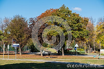 Ada Ciganlija park in autumn in Belgrade, Serbia Editorial Stock Photo