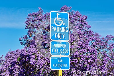 ADA handicapped sign: Parking only, with handicapped wheelchair symbol, marks accessible parking space. Minimum fine warning sign Editorial Stock Photo