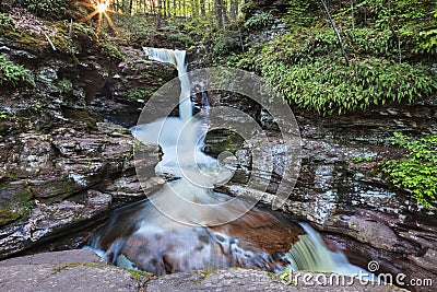 Adams Falls Ricketts Glen Pennsylvania Stock Photo