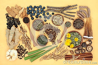 Adaptogen Health Food Collection to Reduce Stress Stock Photo