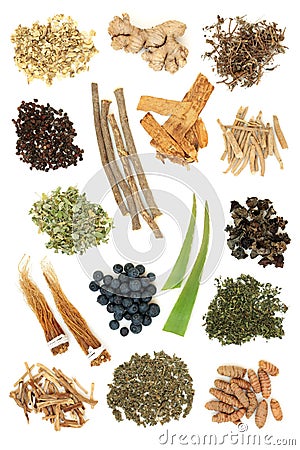 Adaptogen Herb Spice and Berry Fruit Selection Stock Photo