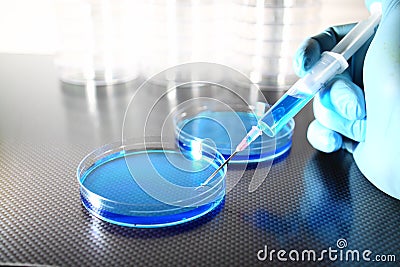 Adding chemicals into petri dish A Stock Photo