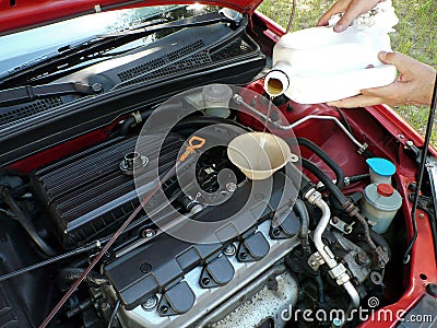 Adding Motor Oil to Car Stock Photo