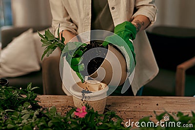 Adding my magic potting soil to the mix. an unrecognizable florist potting plants inside her store. Stock Photo