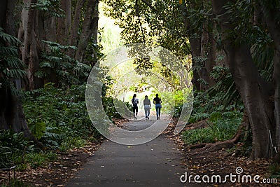 Adelaide Botanic Garden Editorial Stock Photo