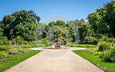 Adelaide botanic garden view with alley green nature and fountain in Adelaide South Australia Stock Photo