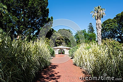 Adelaide botanic garden view with alley green nature and white pavilion in Adelaide South Australia Stock Photo