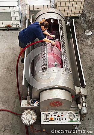 Winemaker pumping over wine in a pneumatic press Editorial Stock Photo