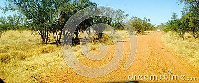 Adels Grove in Outback Australia Stock Photo