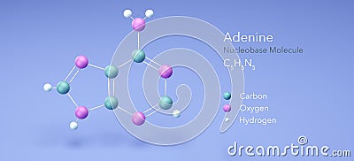 Adenine, nucleobase dna molecule. Molecular model, 3d rendering, Structural Chemical Formula and Atoms with Color Coding Stock Photo