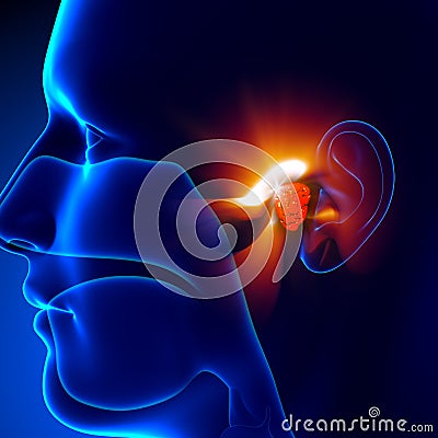 Adenoids - Ear Cartoon Illustration