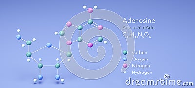 adenosine molecule, molecular structures, c10h13n5o4 3d model, Structural Chemical Formula and Atoms with Color Coding Stock Photo