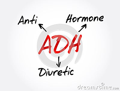 ADH - Antidiuretic Hormone acronym, concept background Stock Photo