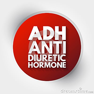 ADH - Antidiuretic Hormone acronym, concept background Stock Photo