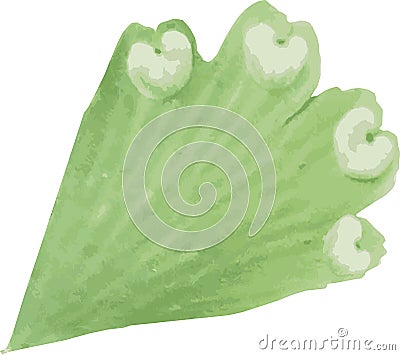 The flat heart-shaped lime green leaflets carried by a wiry black stem. Vector Illustration
