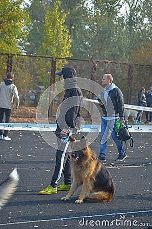 Adolescent wearing a baseball cap and hoodie with his pet stands in front of the barrier tape. Owner with a German Shepherd dog Editorial Stock Photo
