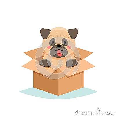 Adopt a pet - cute dog in a box, isolated on white background Cartoon Illustration