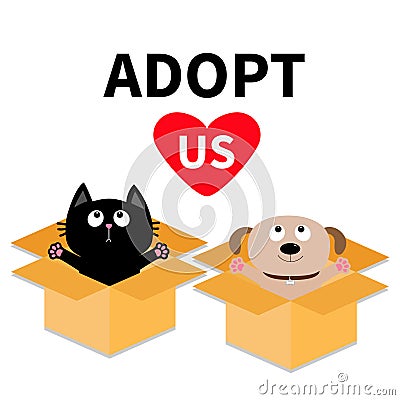 Adopt us. Dont buy. Dog Cat inside opened cardboard package box. Ready for a hug. Puppy pooch kitten cat looking up to pink heart. Vector Illustration