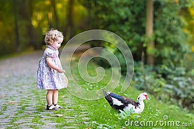 Adorable baby girl in festive dress with wild duck Stock Photo