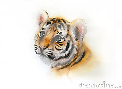 Adorable baby tiger head looking up on white background Stock Photo