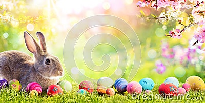 Adorable Bunny With Easter Eggs Stock Photo