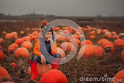 Adorable child having fun with pumpkin on pumpkinpatch on farm. Stock Photo