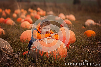 Adorable child having fun with pumpkin on pumpkinpatch on farm. Stock Photo
