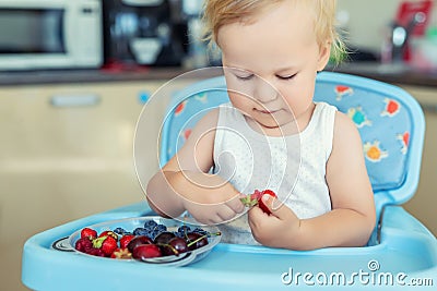 Adorable cute caucasian blond toddler boy enjoy tasting different seasonal fresh ripe organic berries sitting in highchair at home Stock Photo