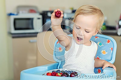 Adorable cute caucasian blond toddler boy enjoy tasting different seasonal fresh ripe organic berries sitting in highchair at home Stock Photo