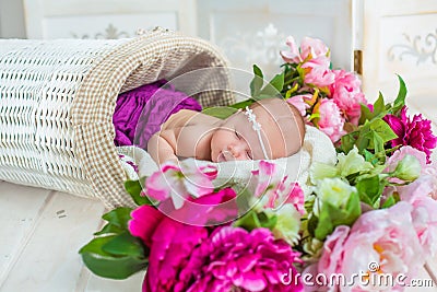 Adorable cute sweet sleeping baby girl in white basket with flowers on wooden floor Stock Photo