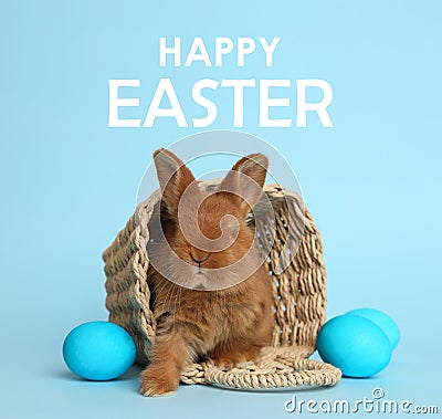 Adorable fluffy bunny in wicker basket and eggs on blue background. Happy Easter Stock Photo