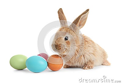 Adorable furry Easter bunny and colorful eggs on white Stock Photo